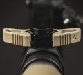Raptor fde.jpg