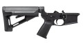 Lower_AP_APAR501112.JPG