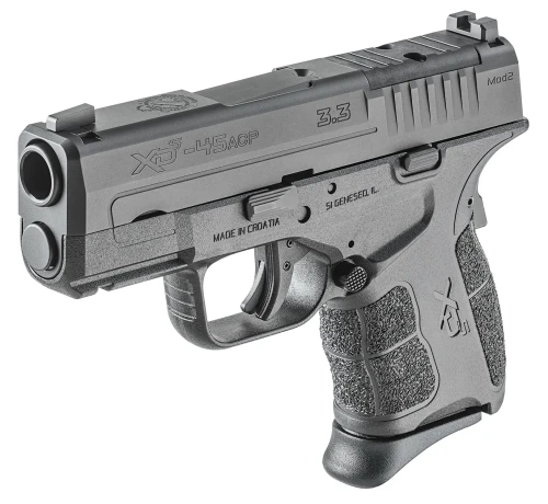 xds2.webp