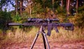 mk12_Article_Feature.jpg